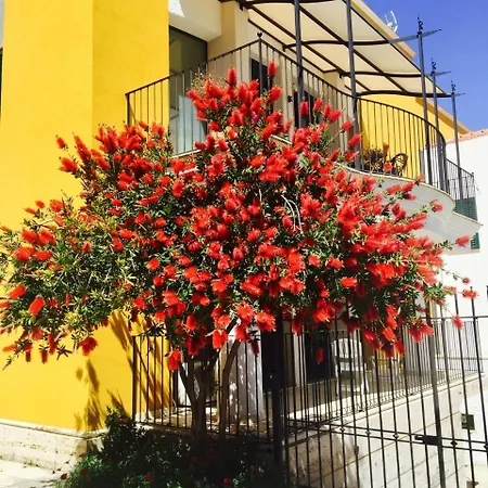 Bel Orizzonte *
